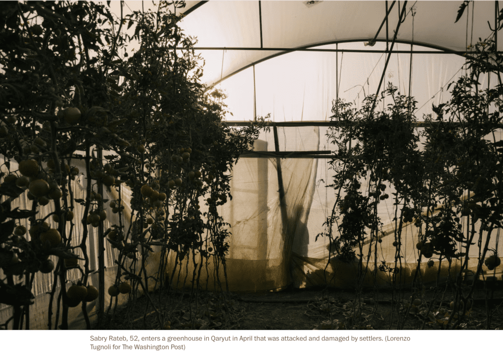 Washington Post — A Palestinian farmer enters his greenhouse in Palestine